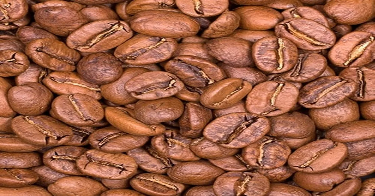 light roast acidity