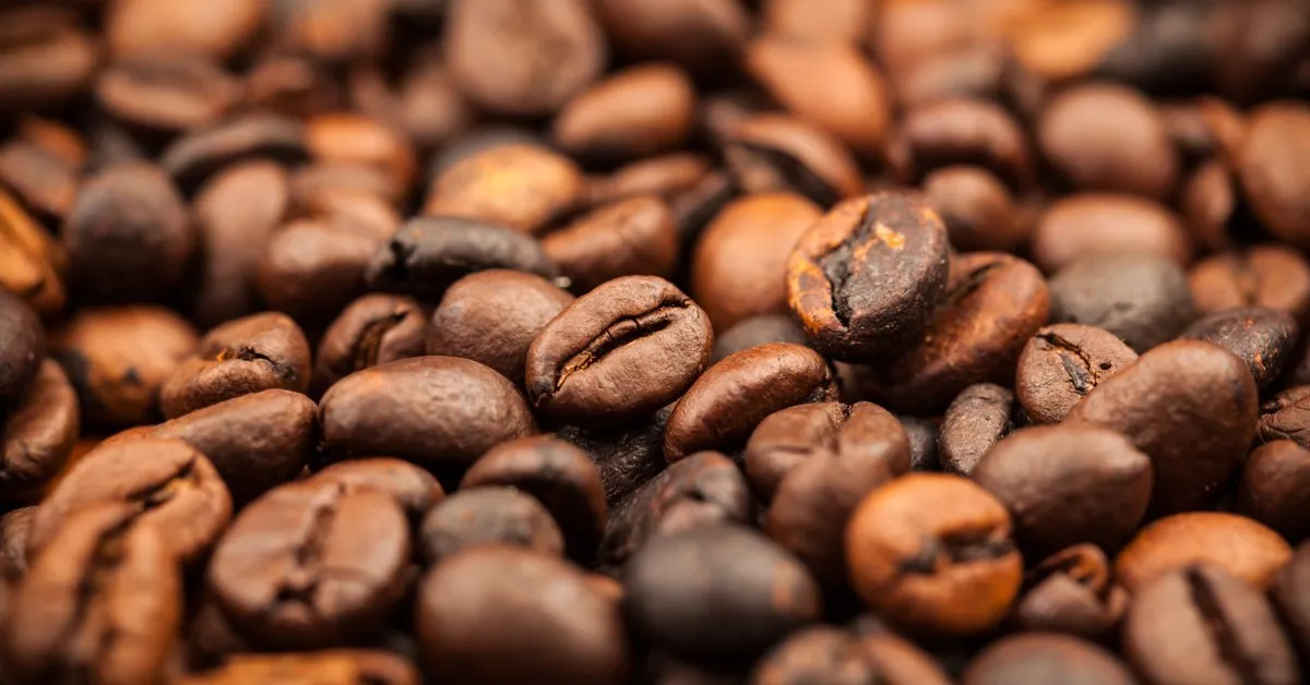 chlorogenic coffee
