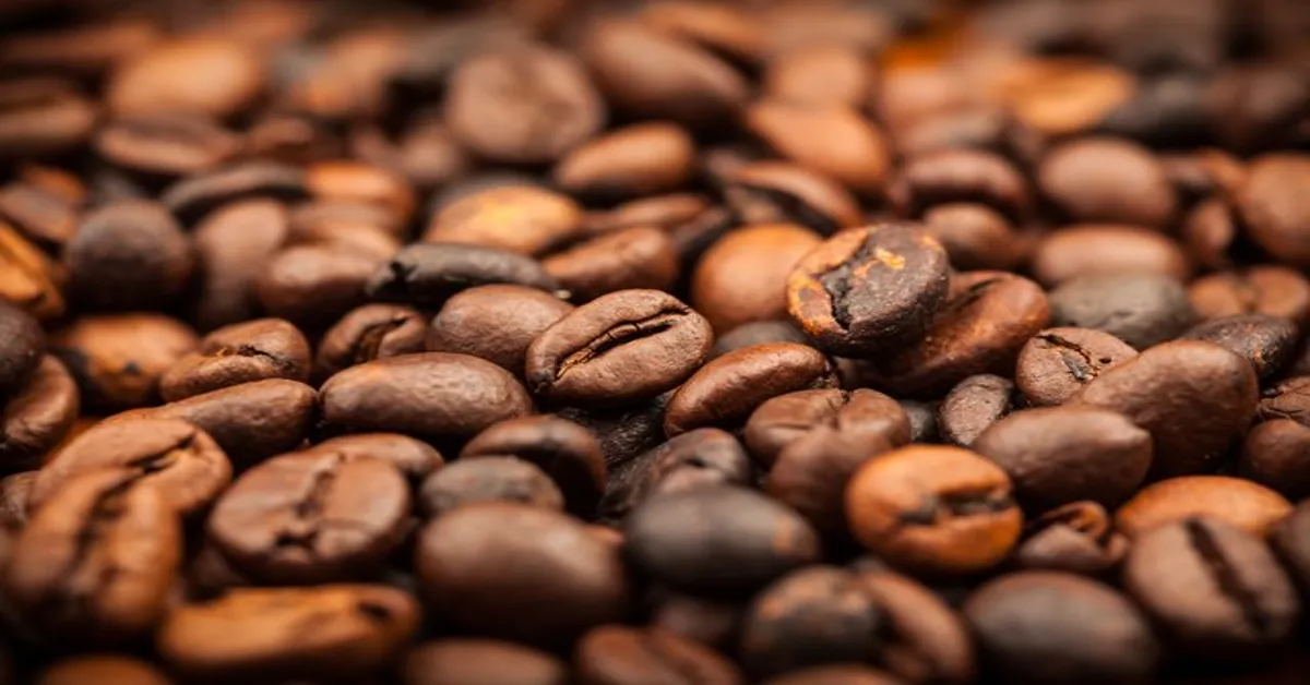 Coffee’s Secret Weapon: The Power of Chlorogenic Acid