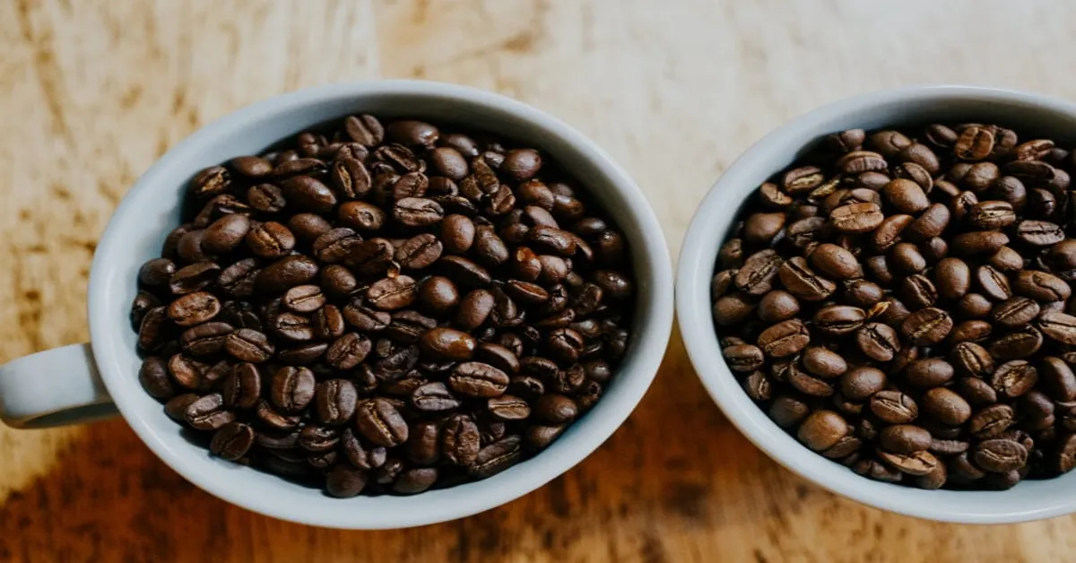 lifeboost medium roast
