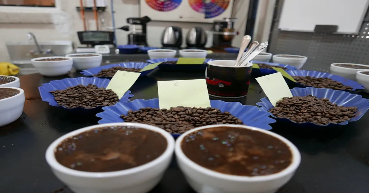 Exploring the Low Acidity of Mushroom Coffee: Health Benefits & Taste Profile