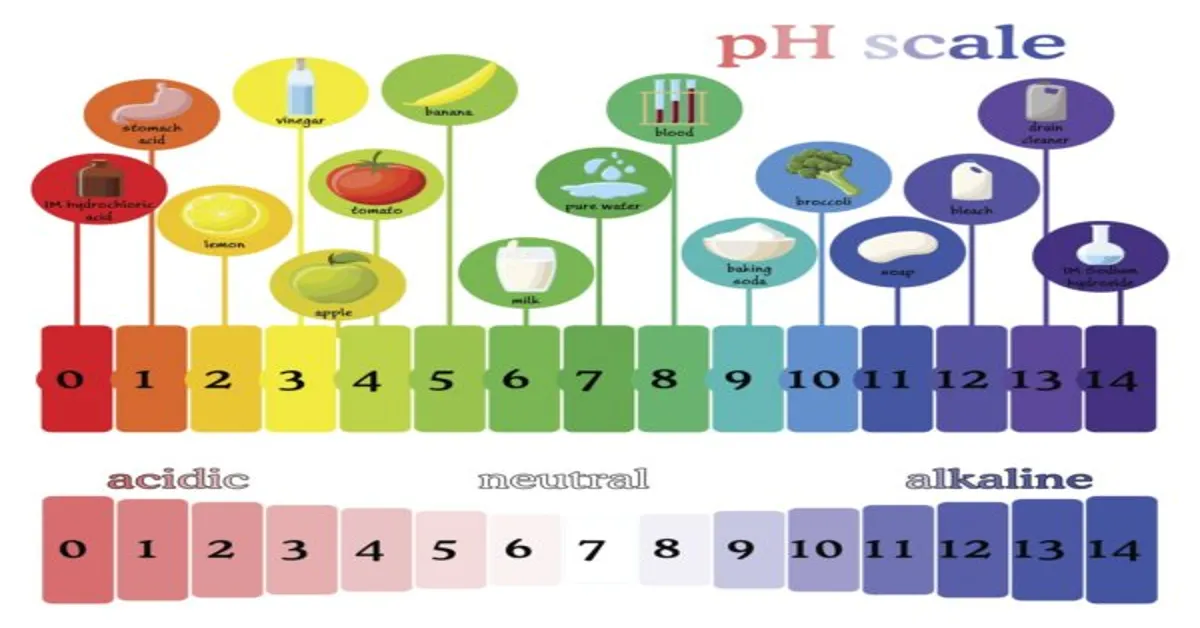 Understanding the pH Balance of Coffee: An Essential Guide for Coffee ...